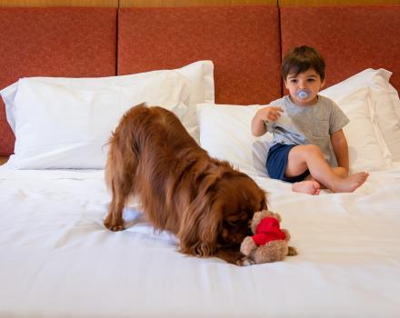 Pet-Friendly Hotel